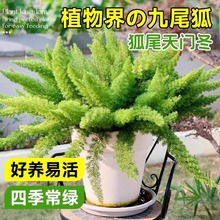 �_����β������ֲ��ߙn���Ի��Lëϵ�к�β���k�������Է�ݗ��