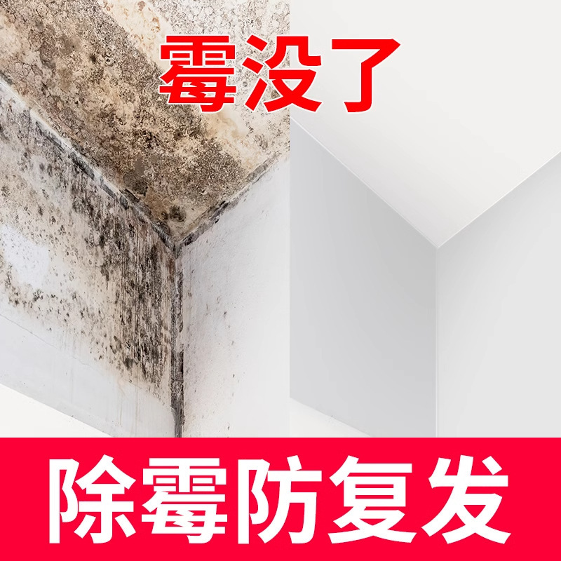壁の壁面はかびを除いてかびを取り除いて白い壁をきれいにしてかびを取り除きます。|undefined