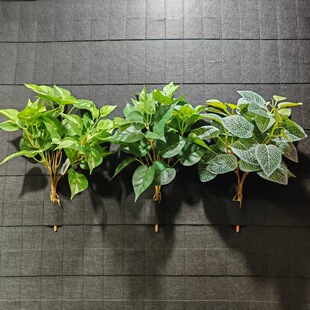 ����ֲ���� �Gֲ�����G�}�~ ���߲��S����~ ���^�b� �׾W�~