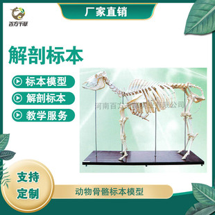 �iţ���R��������˱�ģ�ͽ��ʘ˱�ģ�ͽ̌W�˱�