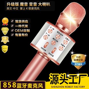 Ws858 Bluetooth Microphone Mobile Phone Karaoke Wireless Microphone Audio All-In-One Home Ktv Cross-Border Hot Model in Stock