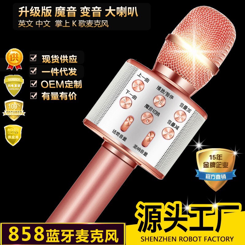 Ws858 Bluetooth Microphone Mobile Phone Karaoke Wireless Microphone Audio All-In-One Home Ktv Cross-Border Hot Model in Stock