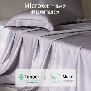 ���^��zح�߶�A�100֧LF��Micro�����������m����z�R��������