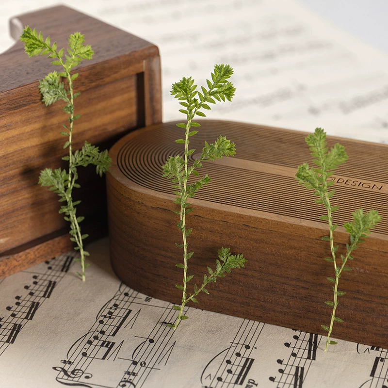 Цуйюнькао Сушеное тиснение настоящих листьев наклейки на образцы растений