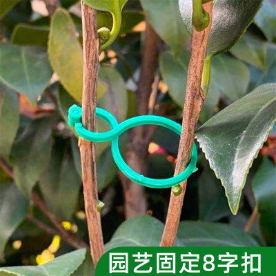 園藝八字扣植物固定夾藤曼爬藤綠植花枝固定器8字扣塑料園林紮帶