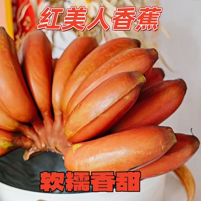 Fujian Zhangzhou Red Beauty Banana Whole Box Seasonal Fresh Fruit Sweet Tulou Red Banana Free Shipping