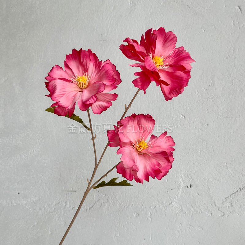 세 머리 란시 꽃