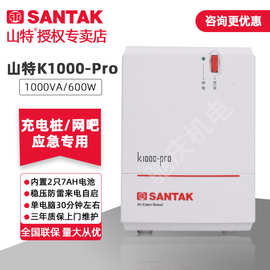 山特K1000PRO服务器办公电脑后备电源家用应急电源1000VA/600W