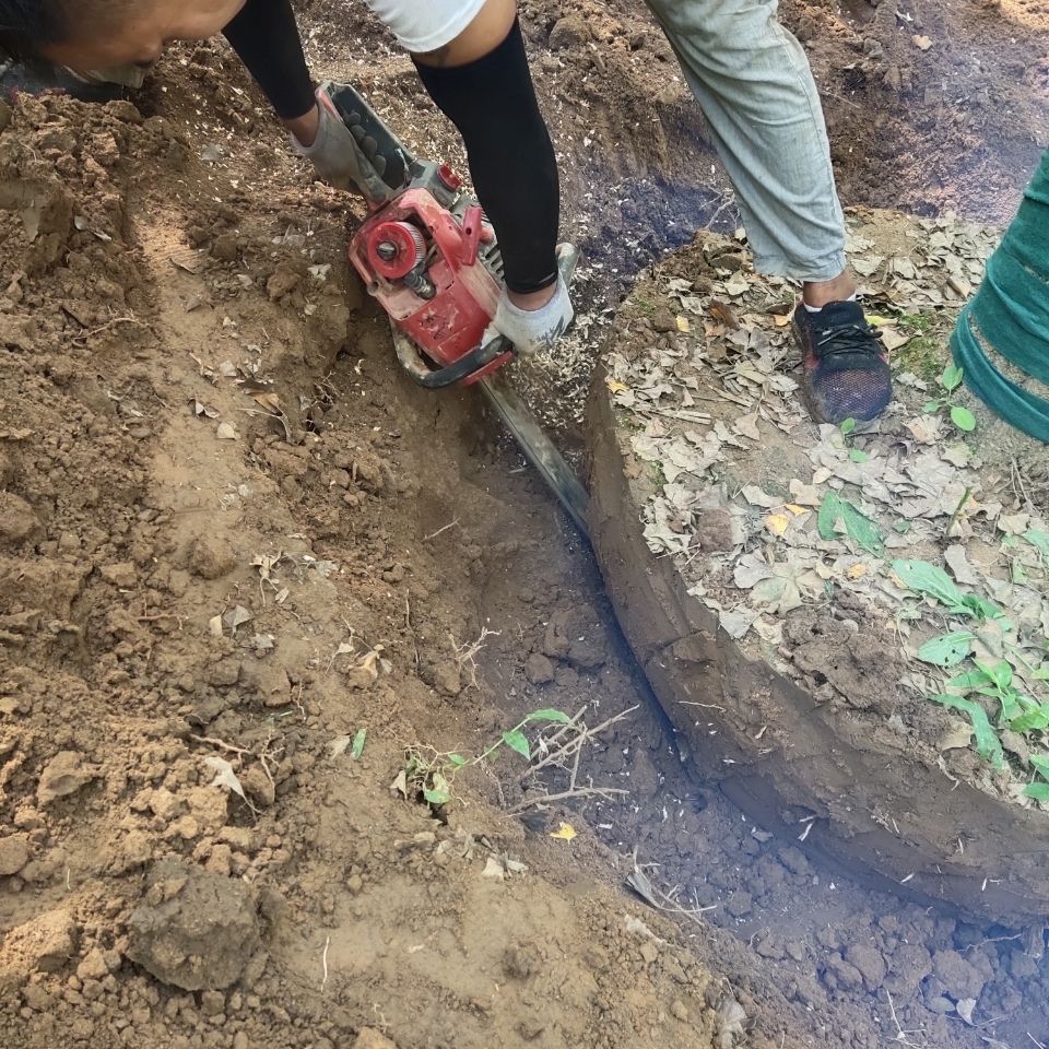 移栽树专用机,马力足,硬质合金链条多功能挖树根机器