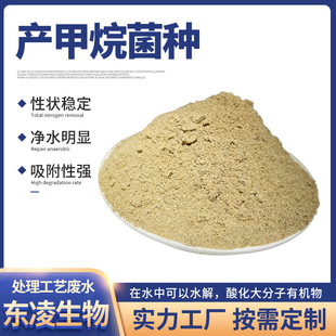 �a������N���ٮa��a���酒���ؽ�QIC���ڳ�UASB��CSTR�ɹ�����