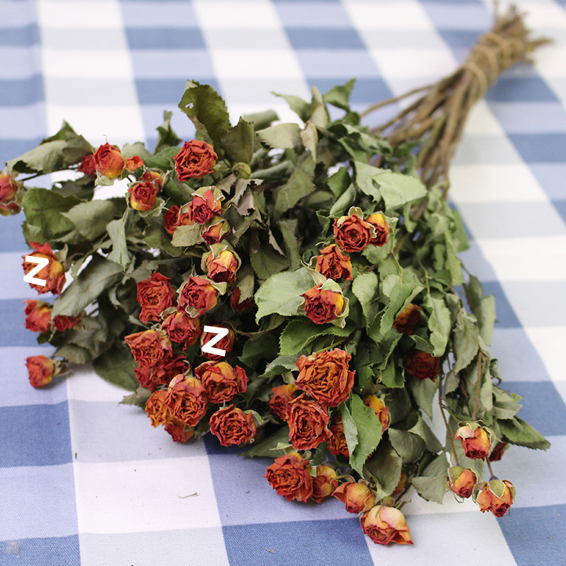 오렌지 바비 + 무료 장미 35송이 이상