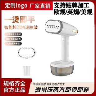 Handheld Cross-Border Garment Ironing Machine Household Small Steam Portable Ironing Machine Business Trip High-Power Electric Iron