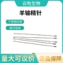 一次性圆头兽用输精器器械