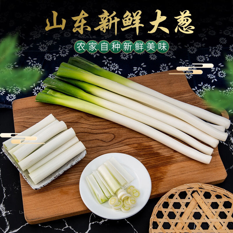 Shandong Iron rod Green onions 10 Bundle Wholesale 5 Fresh vegetables Green onions Wholesale price 3