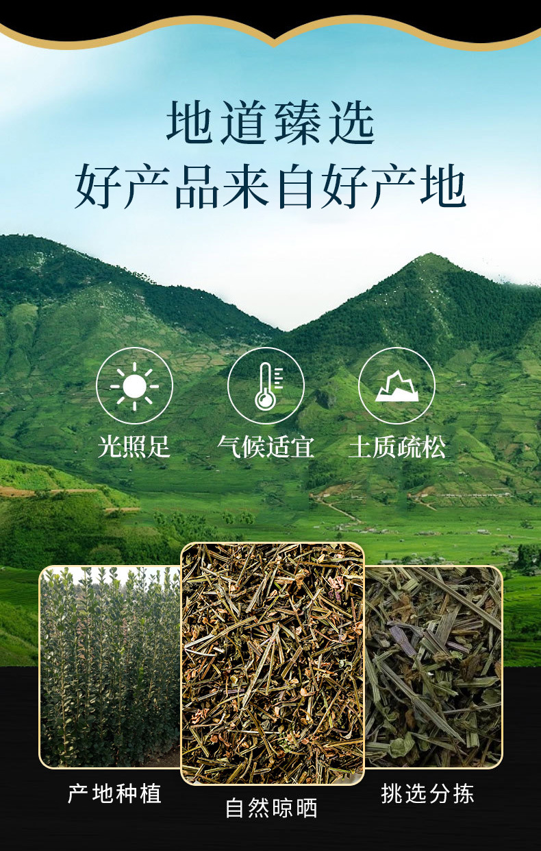 Ban Zhi Lian (Scutellaria barbata) — Dried Chinese Herb, 500g Origin-Sourced overview