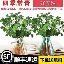 �ļ������ӿ��ǡ����ˮ����������ԾGֲ�k���҃�������ֵ����