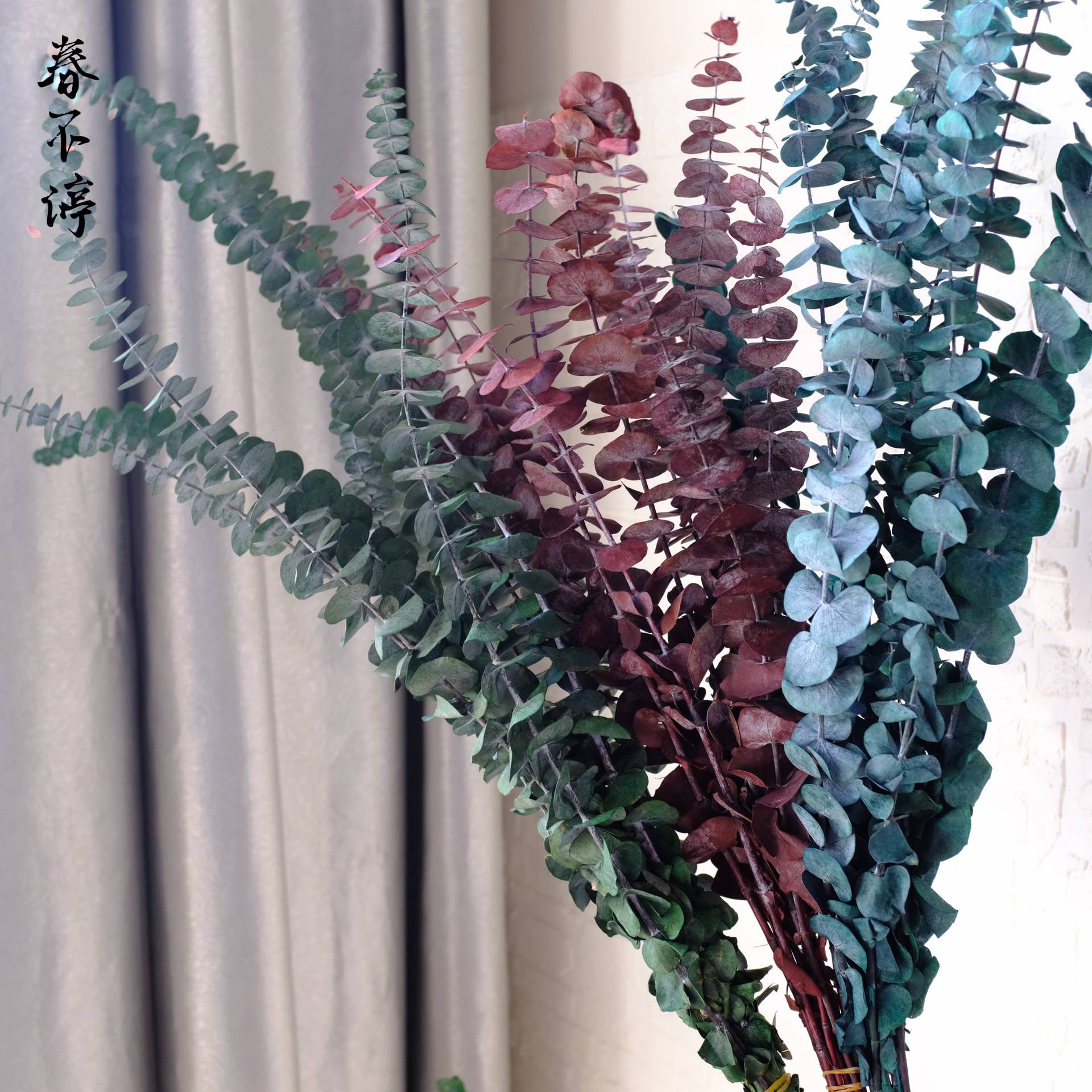 雲南永生圓葉尤加利 廠家批發圓葉銅錢按永生花乾花花束 家居裝飾