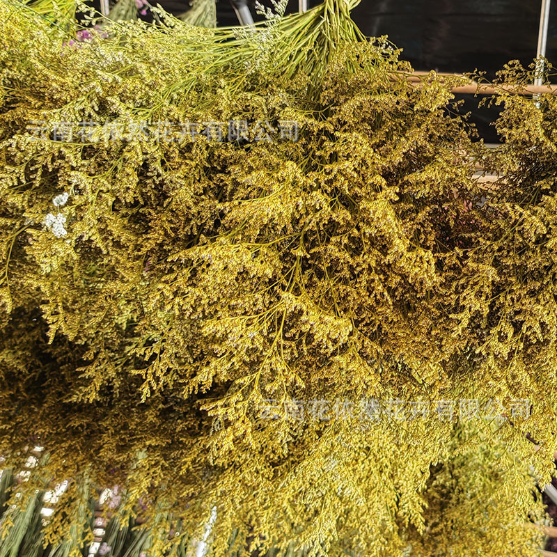 微信图片_20250404164836