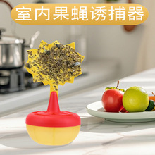 ��ω�D���������ω�T����С�w�x�����x���T�����������ÏN����ω