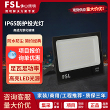 FSLɽVledͶ20W50WͶˮ·V淺