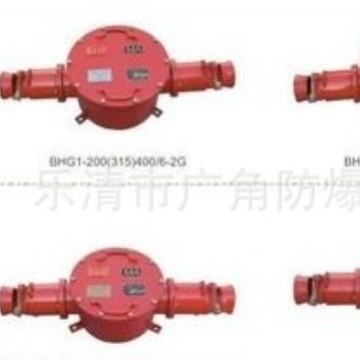 矿用隔爆型高压电缆接线盒BHG1-400/2G（10）6