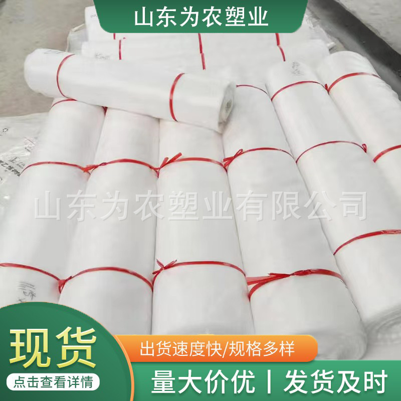 60目防虫网 60目加厚耐用防虫网 抗老化防虫网 用5年左右透气