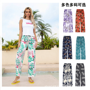 �W���羳�¿����ѝ�Lѝɳ��ѝŮѝ��a�������e�ȼ��\�ӕr��2026