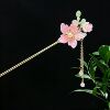 Hairpin 2614
