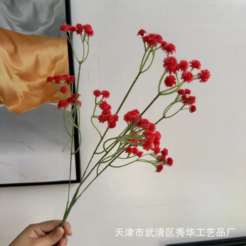 레드