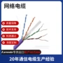 屏蔽订制cat6asftp网线