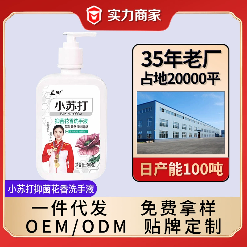 Оптовая Продажа с фабрики пищевая Сода антибактериальное дезинфицирующее средство для рук теплое бытовое антибактериальное дезинфицирующее средство для рук 500 мл страхование труда подарок для рук
