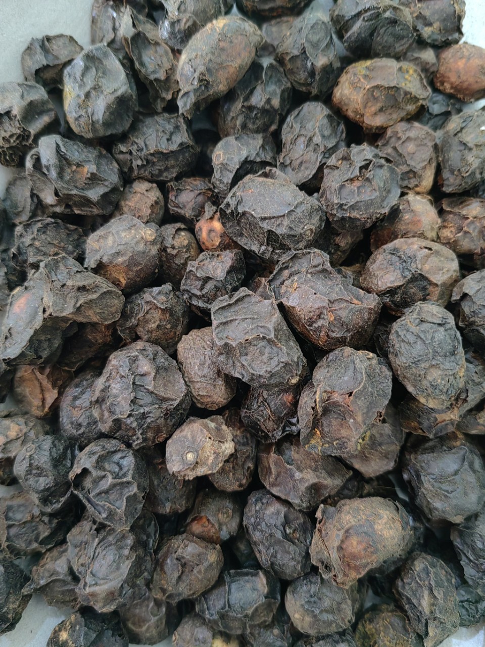 Guang Zao (Choerospondias axillaris) — Dried Wild Jujube Fruit for Tea & Soup in use