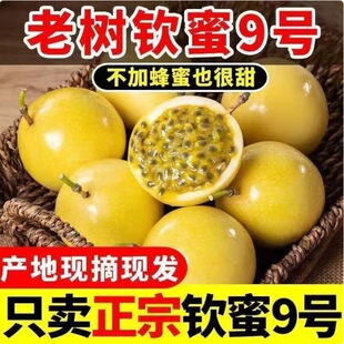 �S�������J��9̖Դ�^ֱ�ɏV�������֭�Fժ����ˮ��ֱ�ɚJ��9̖