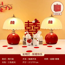 阅读台灯;吊灯;装饰台灯