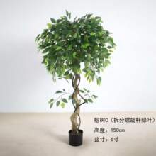 ���������������Ҿ�ֲ���쾰����������ֲ����ѷ�羳������ֲ