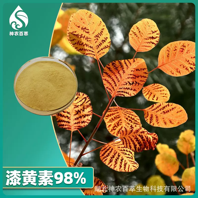 漆黄素98% 黄栌提取物非瑟酮Fisetin紫铆素非瑟素漆黄酸 528-48-3