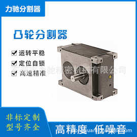 P100分割器凸轮分割器分割器厂家现货可非标分度器自动化