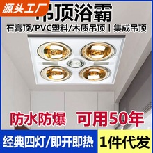 浴霸老式照明灯排气扇浴霸灯普通石膏板取暖器扣板浴霸排气扇传统