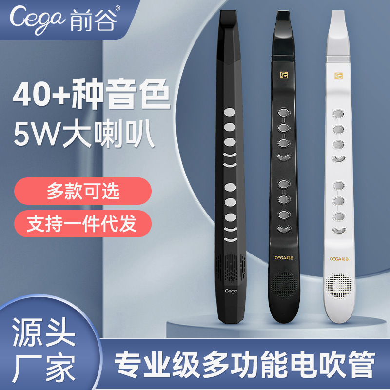 Former Valley cega Electric Tub Instrument Factory Direct Wholesale Professional Electric Tub Saxophone Instrument Flute Creative Gift