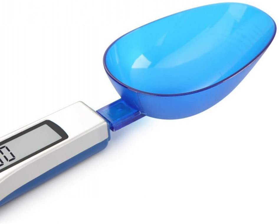 51C-OOVOGnL._AC_SL1000_