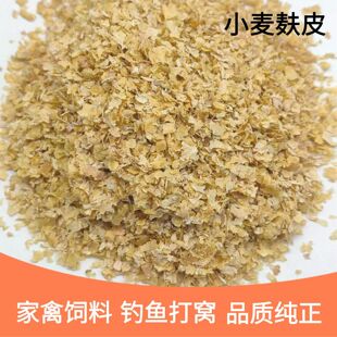 ���l����Ƥ�������Ģ����Nֲ������ˮ�a�Bֳ���ԭ�϶�NҎ��