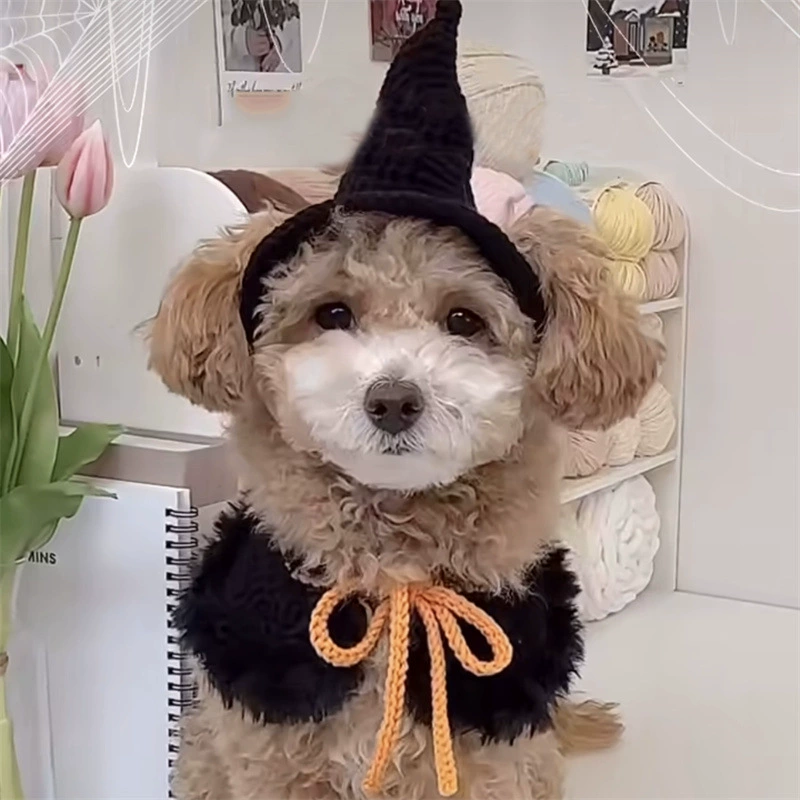 Внешняя торговля, трансграничная новая стильная вязаная крючком шляпа ведьмы для собаки на Хэллоуин, персонализированная праздничная шляпа