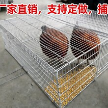 �Ӵּ������ӻ\���÷����u�\�g���\���ӻ\�F�z�\���˴�̖����\��