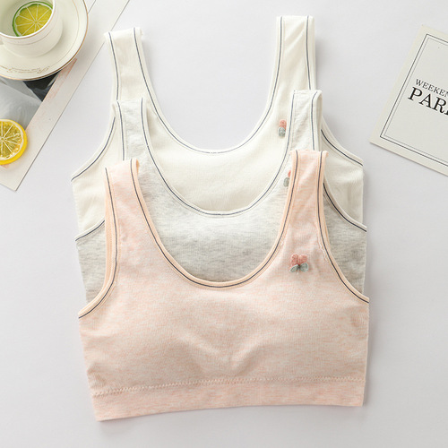 Adolescent girls underwear, junior high school students, high school students, girls, growth period, vest, teen bra