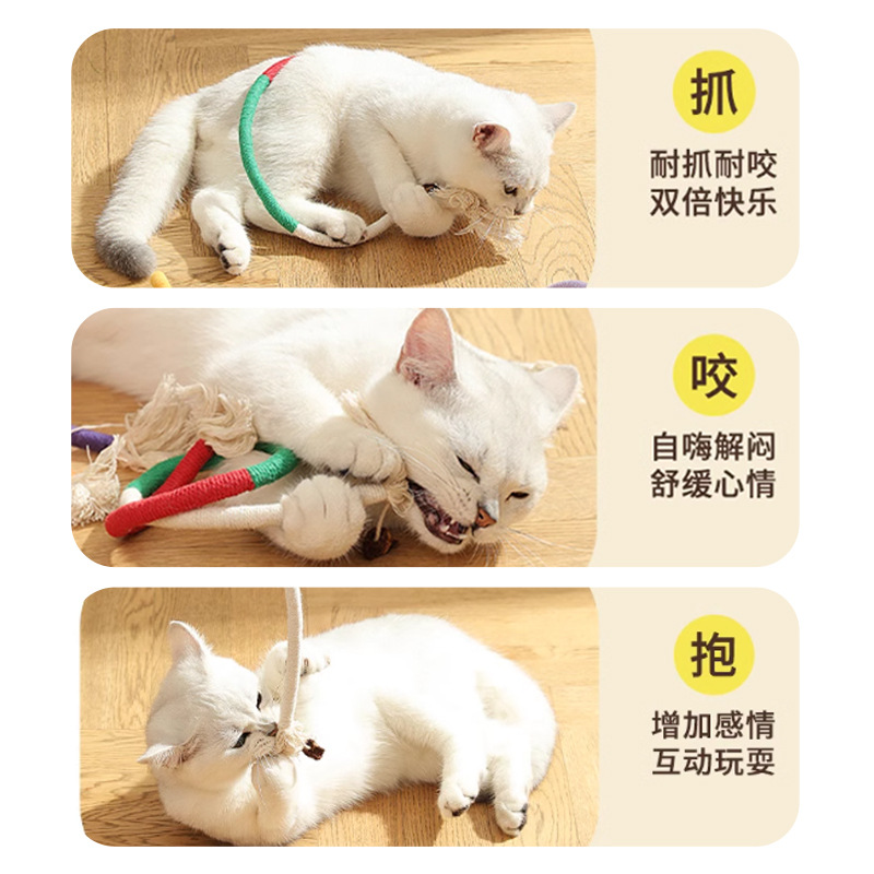 Insectos, agallas, fruta, cuerda para gatos, juguete para gatos, artefacto para gatos, suministros para gatos