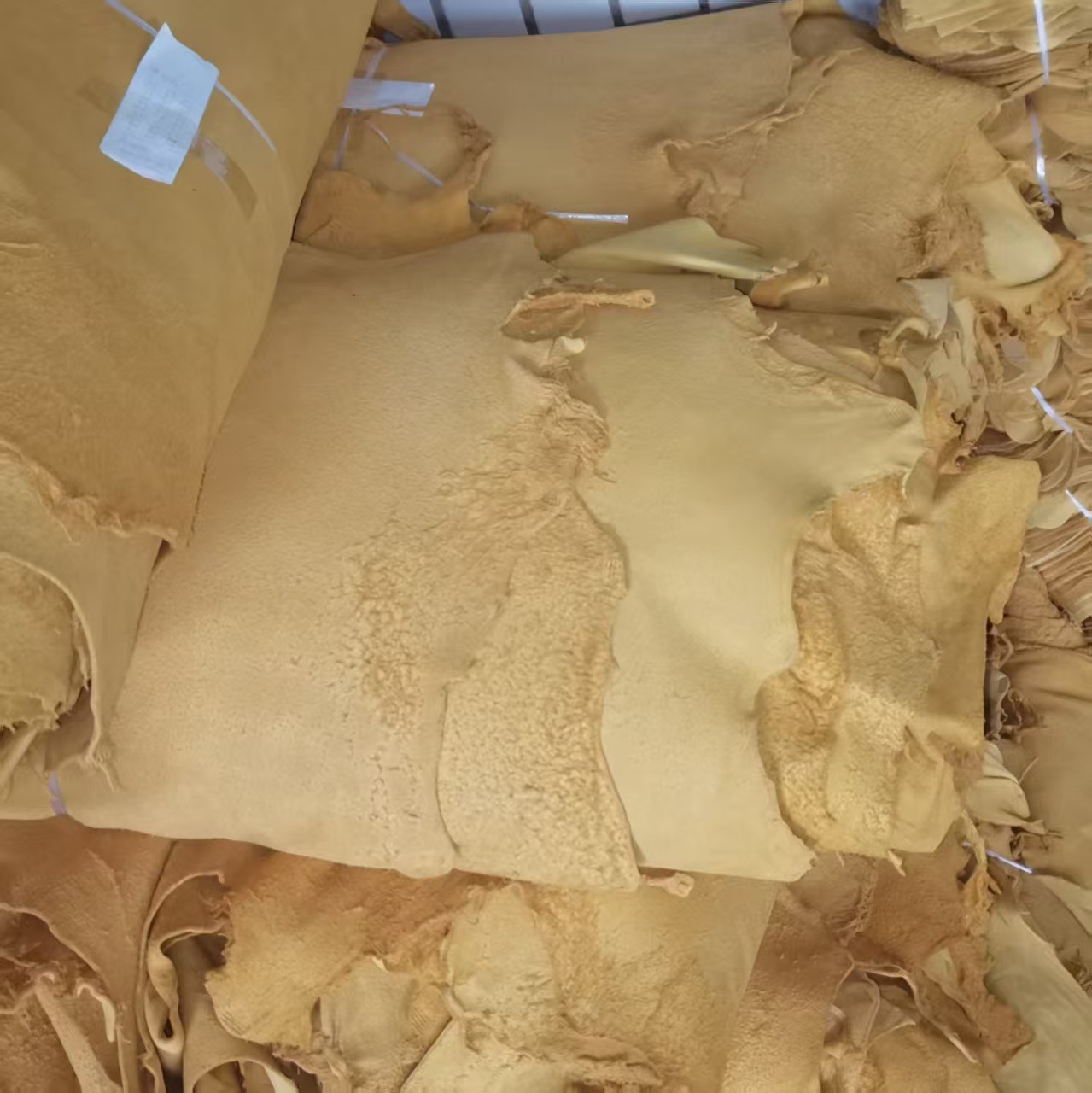 微信图片_20250509134703