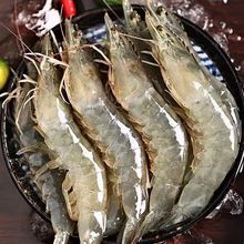 ���u���r�r�����r�}�����rˮ�aһ�䌦�r�����r���r����