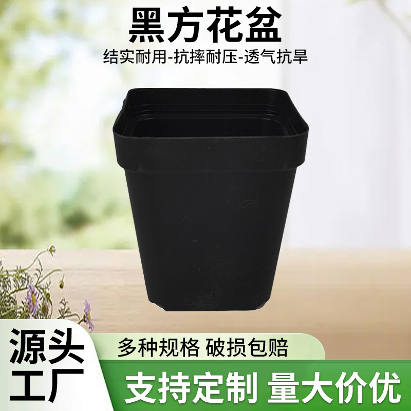 托盘架蓄水透气小黑方花盆配套园艺用品多肉小黑方盆12孔花盆托架