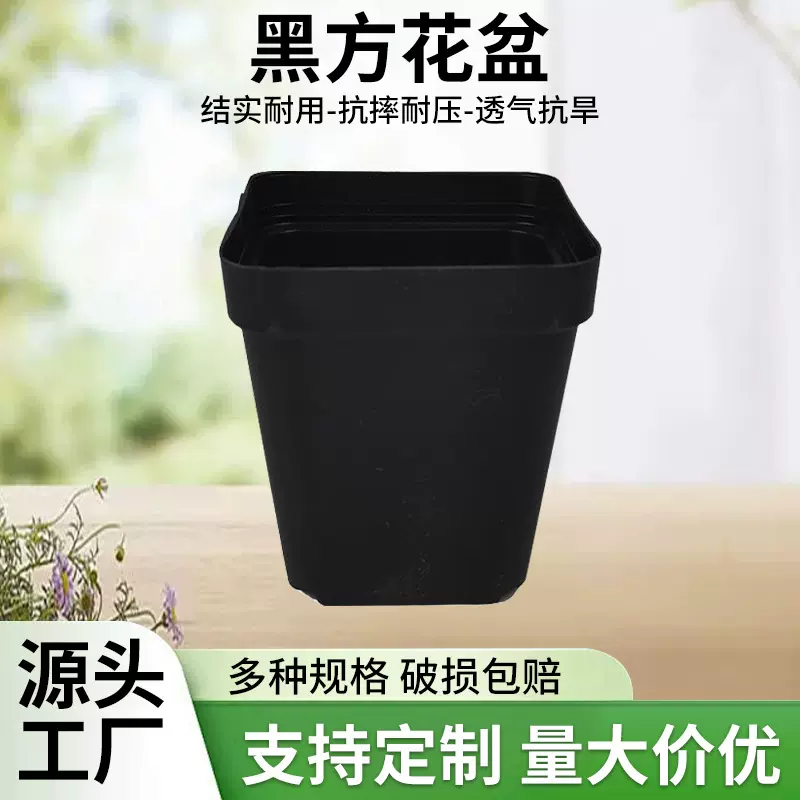 托盘架蓄水透气小黑方花盆配套园艺用品多肉小黑方盆12孔花盆托架