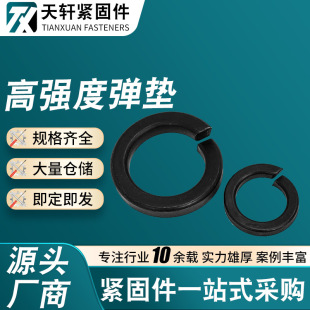 �ߏ��ȏ��ɉ|Ƭ/�ߏ��ȏ��|/�����|�A˾�|Ȧ